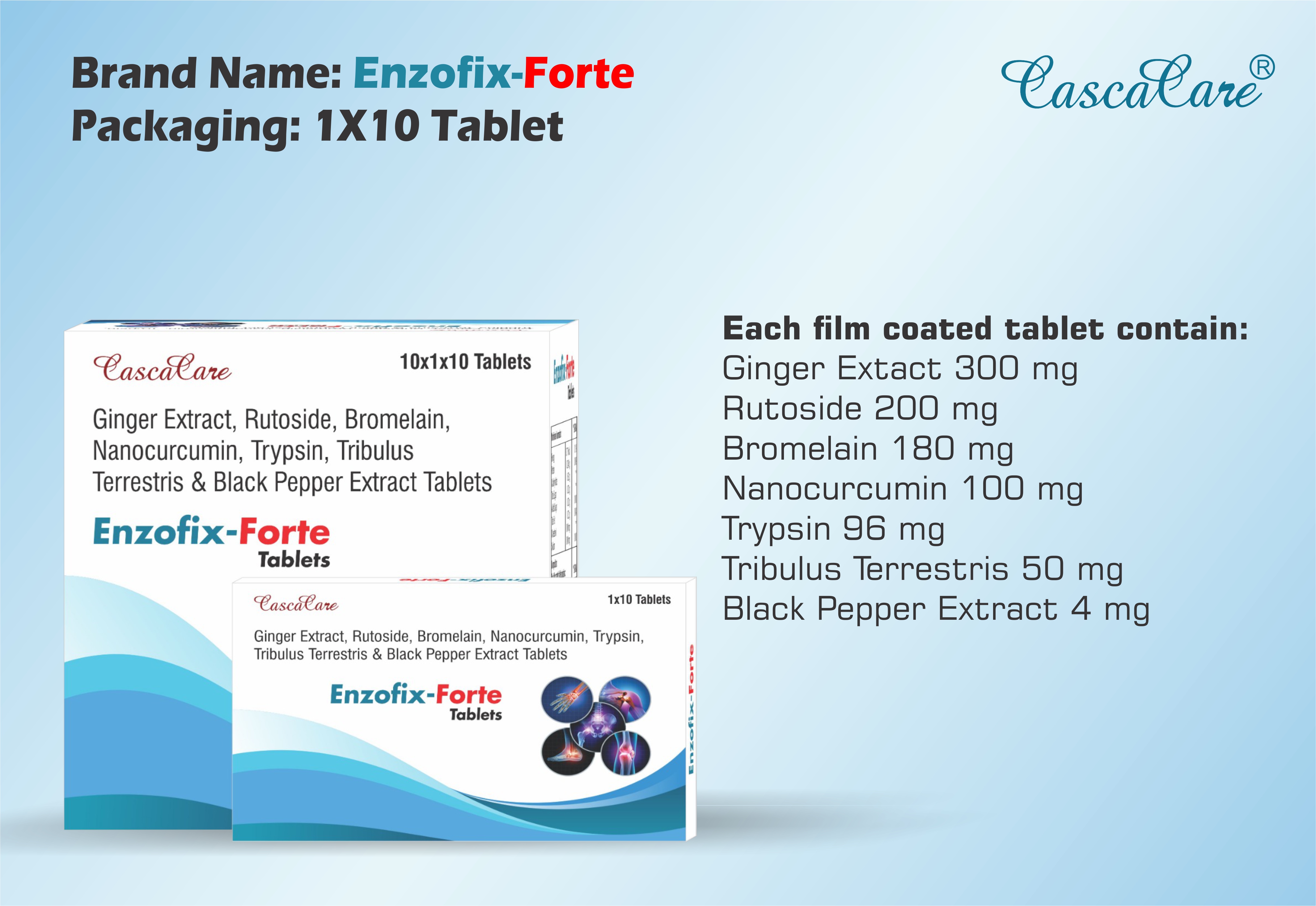 Enzofix Forte Tab